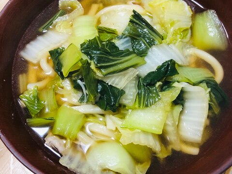 野菜たっぷりチンゲン菜と白菜と鶏のおうどん